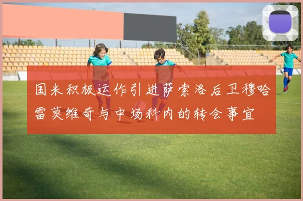 国米积极运作引进萨索洛后卫穆哈雷莫维奇与中场科内的转会事宜