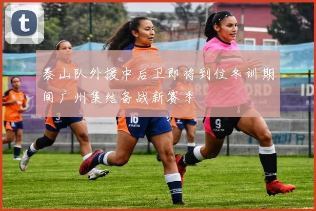 泰山队外援中后卫即将到位冬训期间广州集结备战新赛季